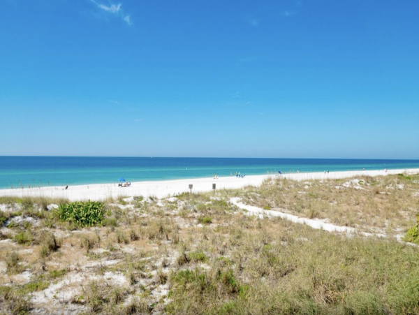 Beachfront Anna Maria Rental